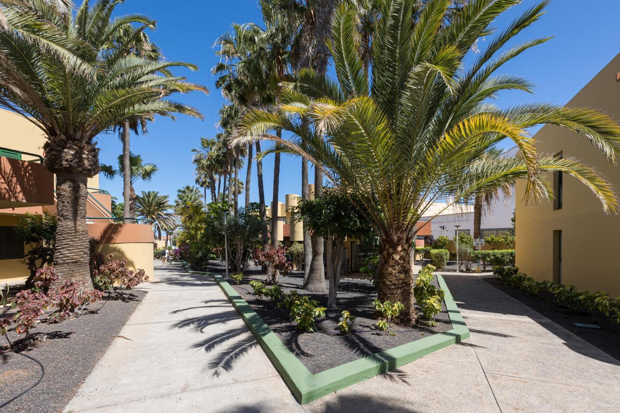 Home2Book Pool & Tennis Court Cozy Apt, Corralejo Ngoại thất bức ảnh